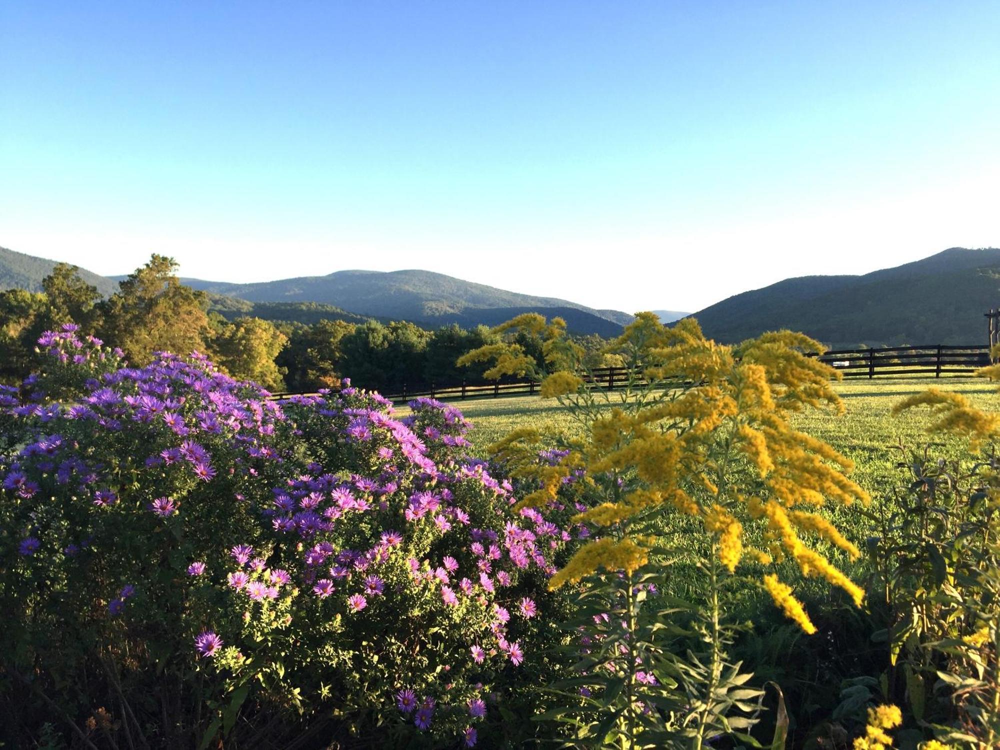 Montfair Resort Farm Crozet Room photo